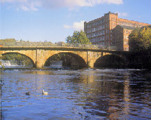 pp340495b1_1b.jpg